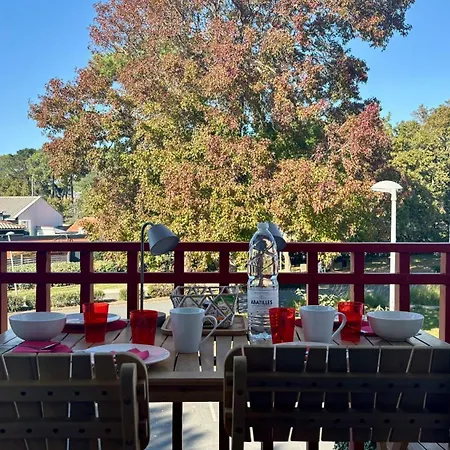 Apartment T2, 50 M Beach, Balcony With Sea View